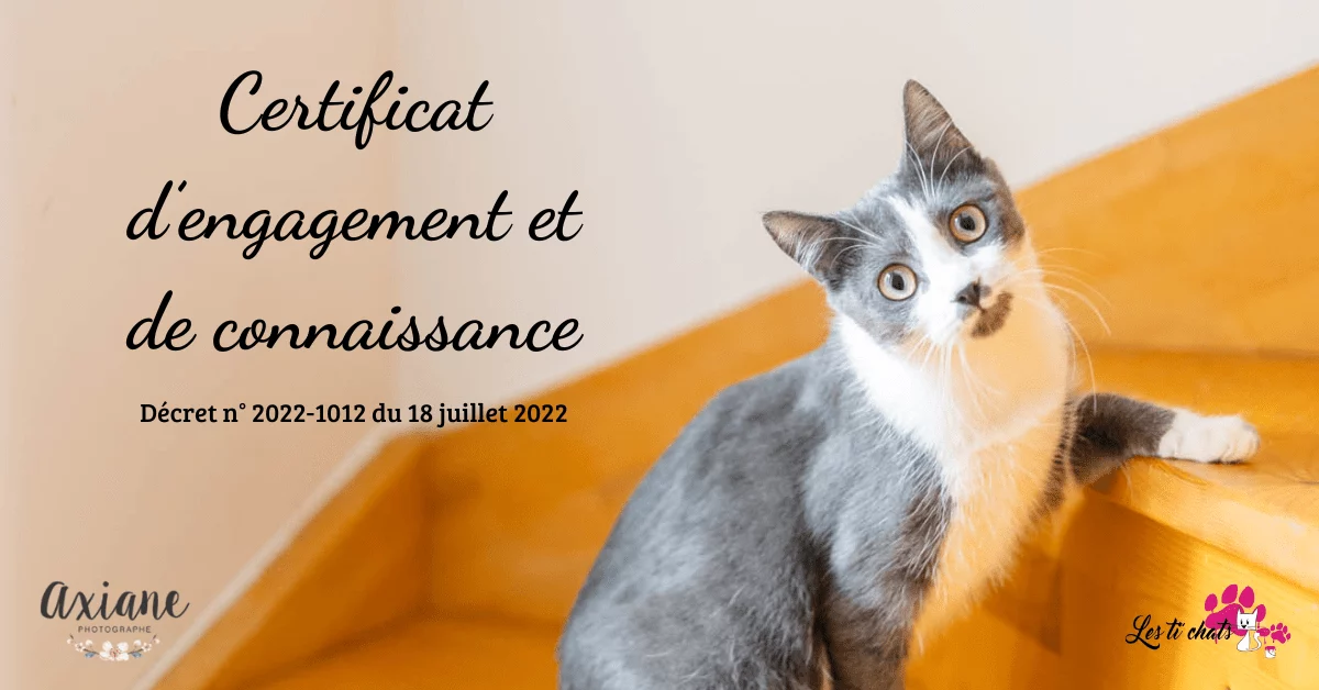 Certificat d’engagement et de connaissance