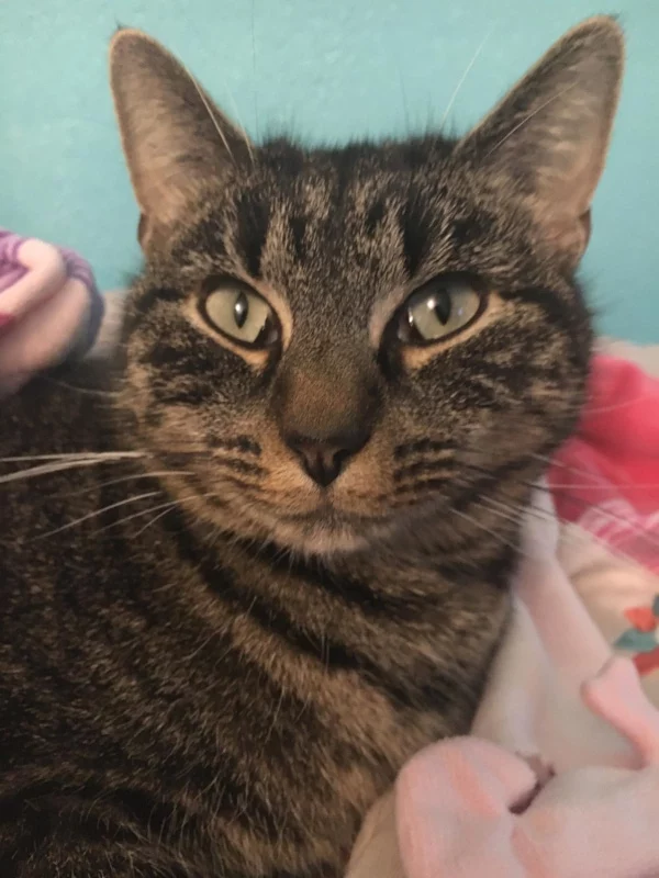 Sauvetage de Minette