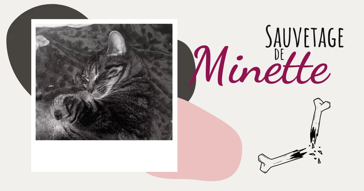 Sauvetage de Minette