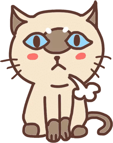 Chat énervé