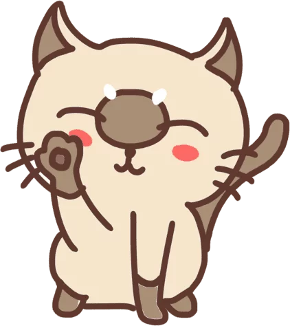 Chat coucou