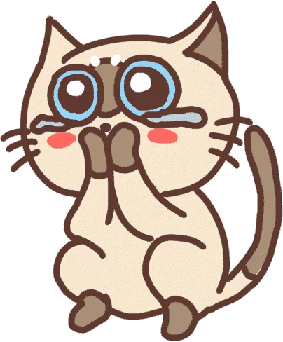 Chat timide