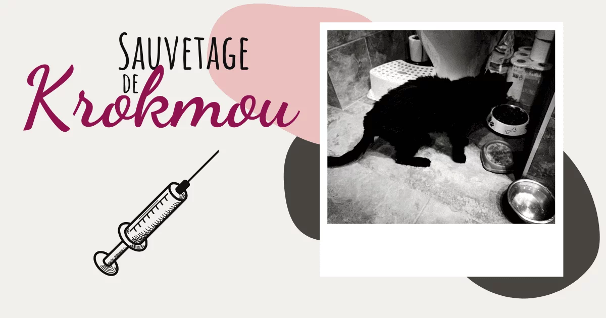 Sauvetage de Krokmou