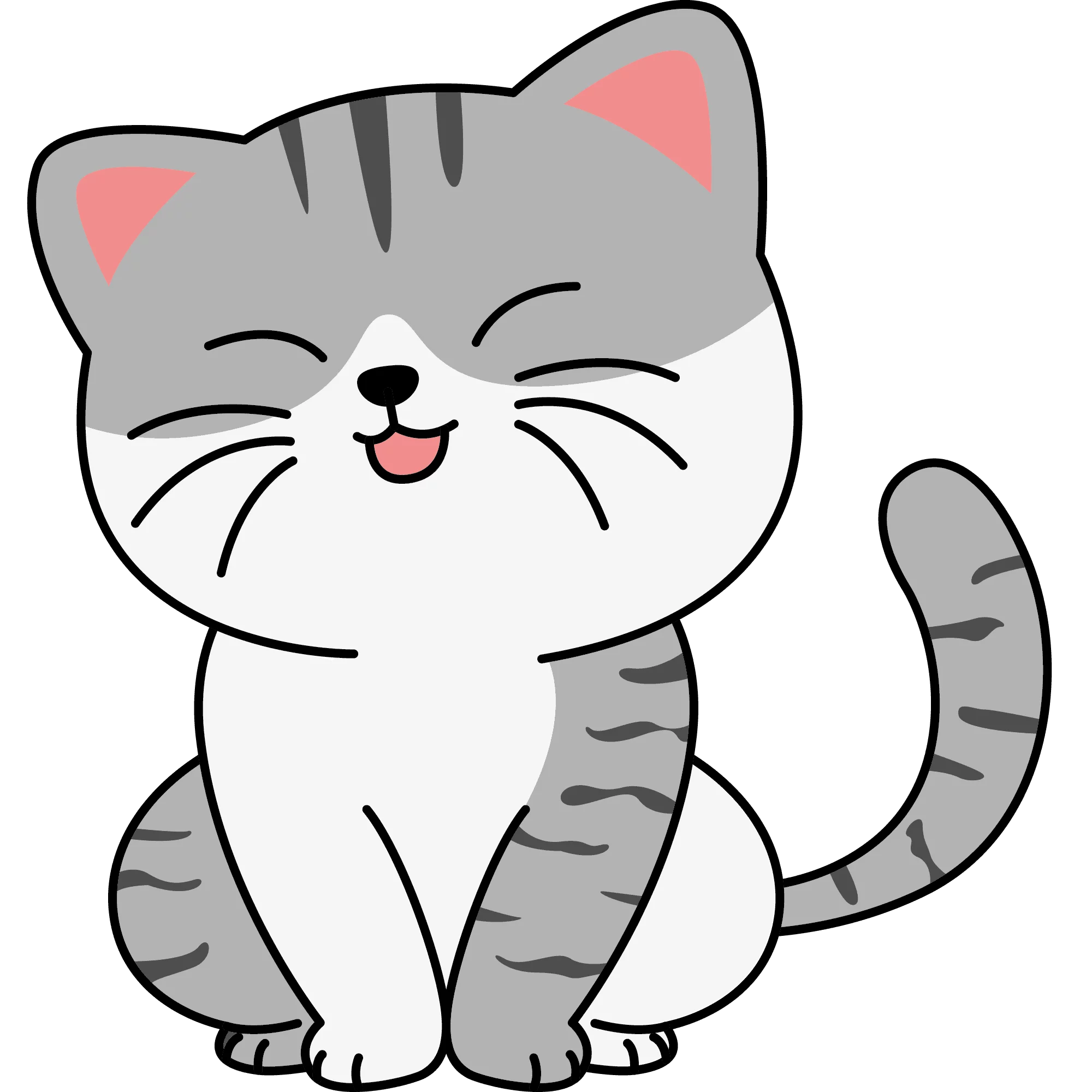 Shy, chat libre stérilisé par Les ti'chats