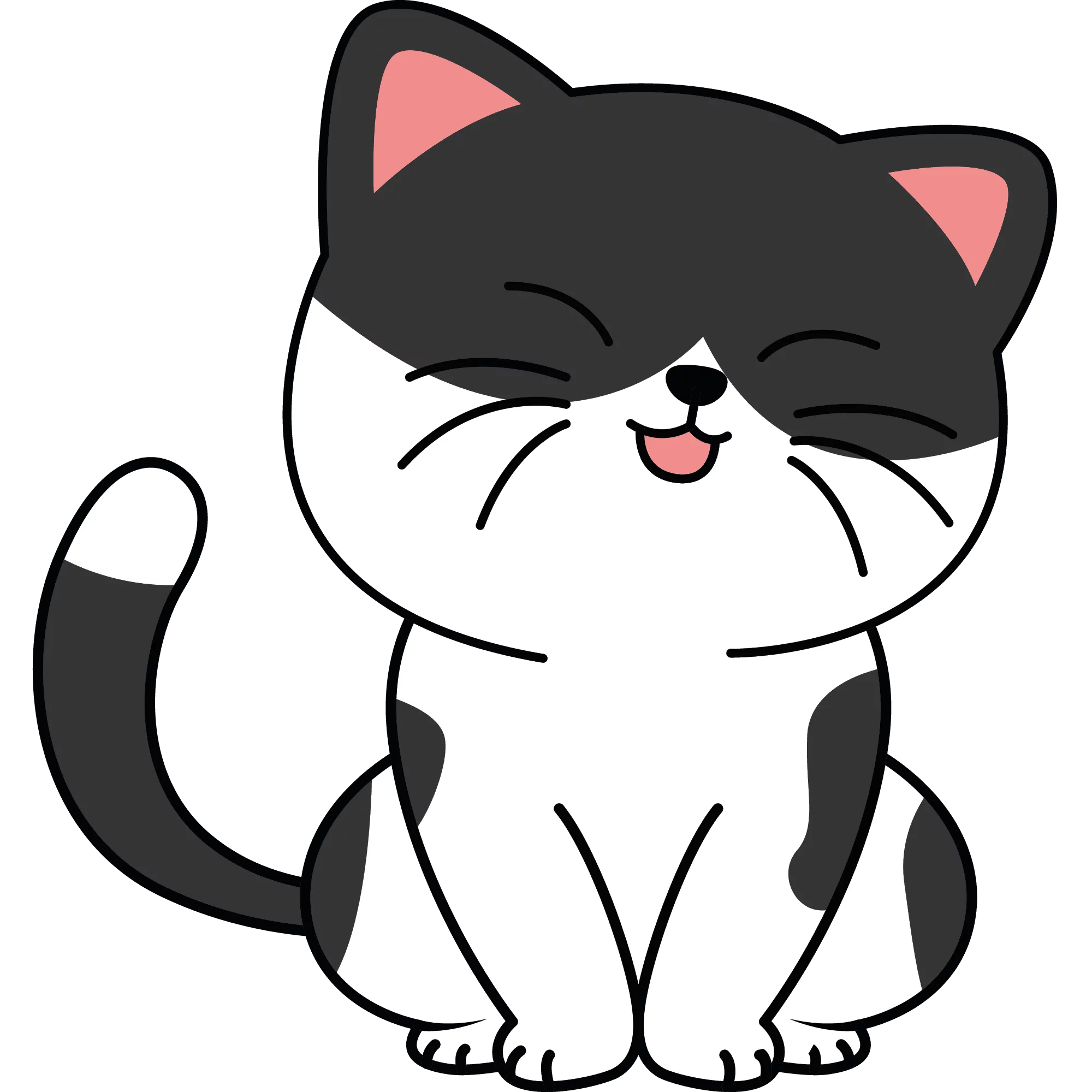 Neva, chat libre stérilisé par Les ti'chats