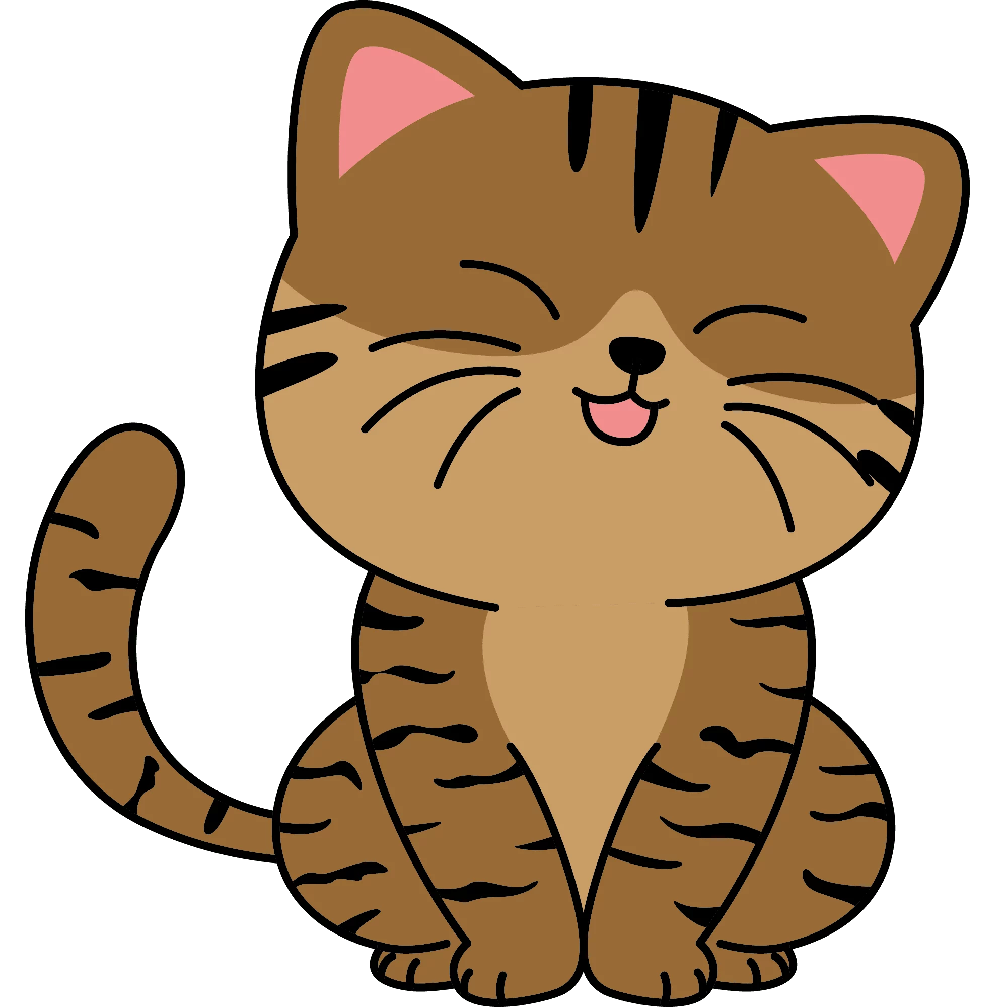 Lilo, chat libre stérilisé par Les ti'chats